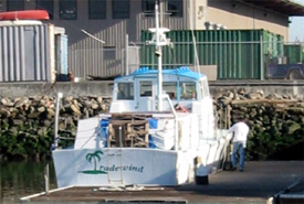 Picture of Tradewind